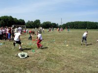 Żerowanie bocianów Żerowanie bocianów