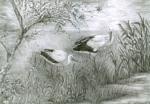 Magdalena Mańkowska, lat 17, Zespół Szkół Ogólnokształcących w Milanowie (woj. lubelskie) Magdalena Mańkowska, lat 17, Zespół Szkół Ogólnokształcących w Milanowie (woj. lubelskie)