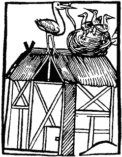 Stare ryciny wyranie pokazujš, że dawniej ulubionym przysmakiem bocianów były gady