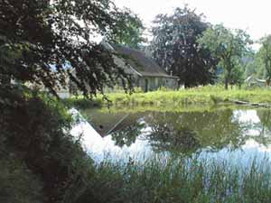 Farma ekologiczna w G��bocku