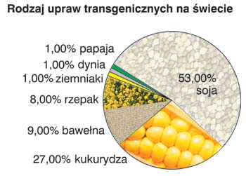Rodzaj upraw transgenicznych na �wiecie