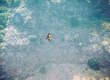 fot. Anna Stanuch