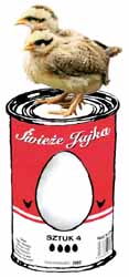kliknij tutaj