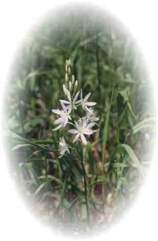 Rozmiar: 8574 bajtów