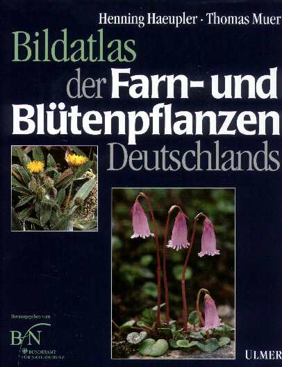 Rozmiar: 29533 bajt�w
