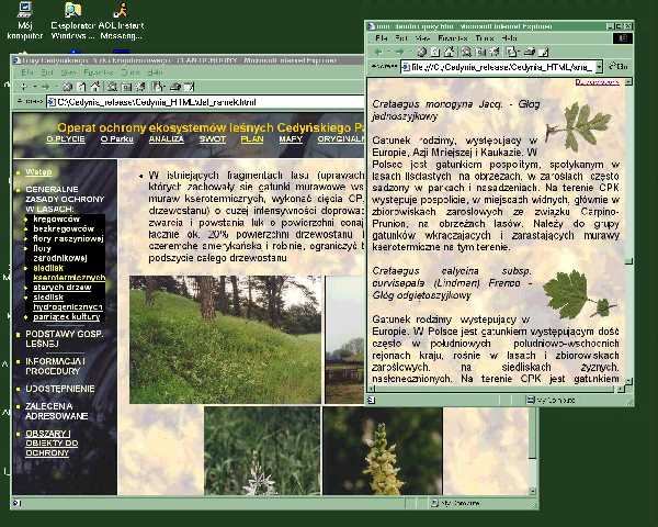 Link do Ksi�garni