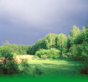 Wiosna w Moczelach. Fot. Jerzy P�otkowiak