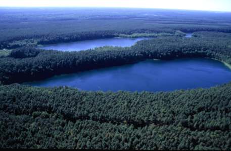 Black Lake in DNP. Photo Marek Czasnoj�