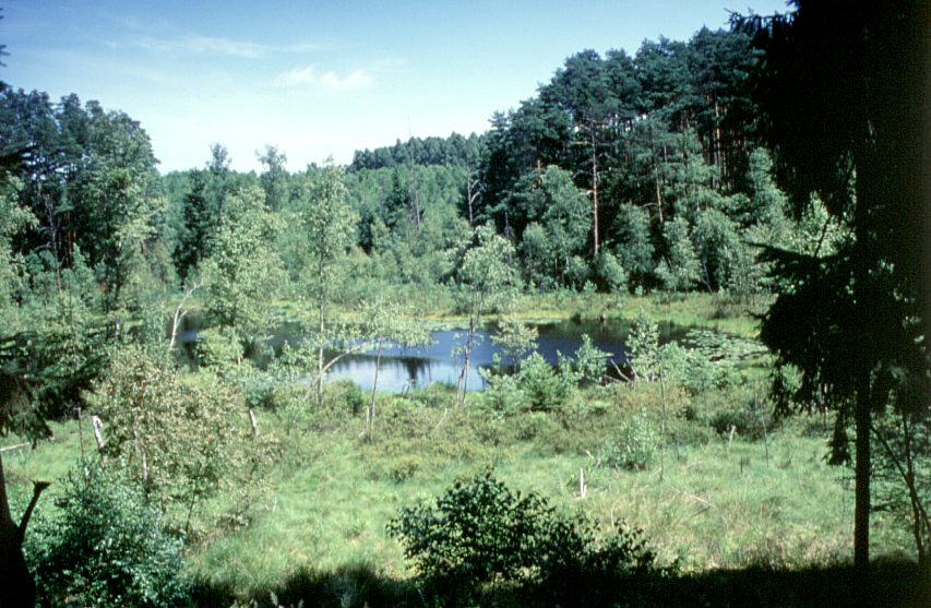 Foto Krzysztof Staniszewski
