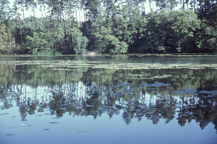 Foto Krzysztof Staniszewski
