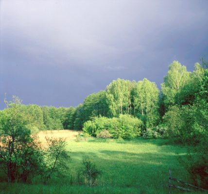 Przed wiosenn� burz� na Moczelach. Foto Jerzy P�otkowiak