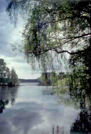 Mezotroficzne jezioro Pecnik Du�y. Foto Krzysztof Staniszewski