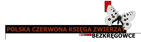 Do Ksi�gi w Internecie