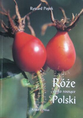 Rozmiar: 18260 bajt�w
