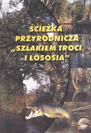 Rozmiar: 19451 bajt�w