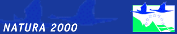Rozmiar: 8664 bajt�w